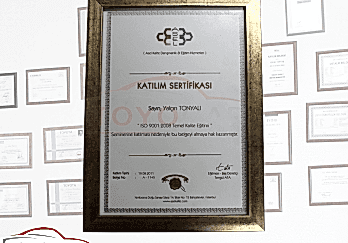 ASEL - Başarı Sertifikası